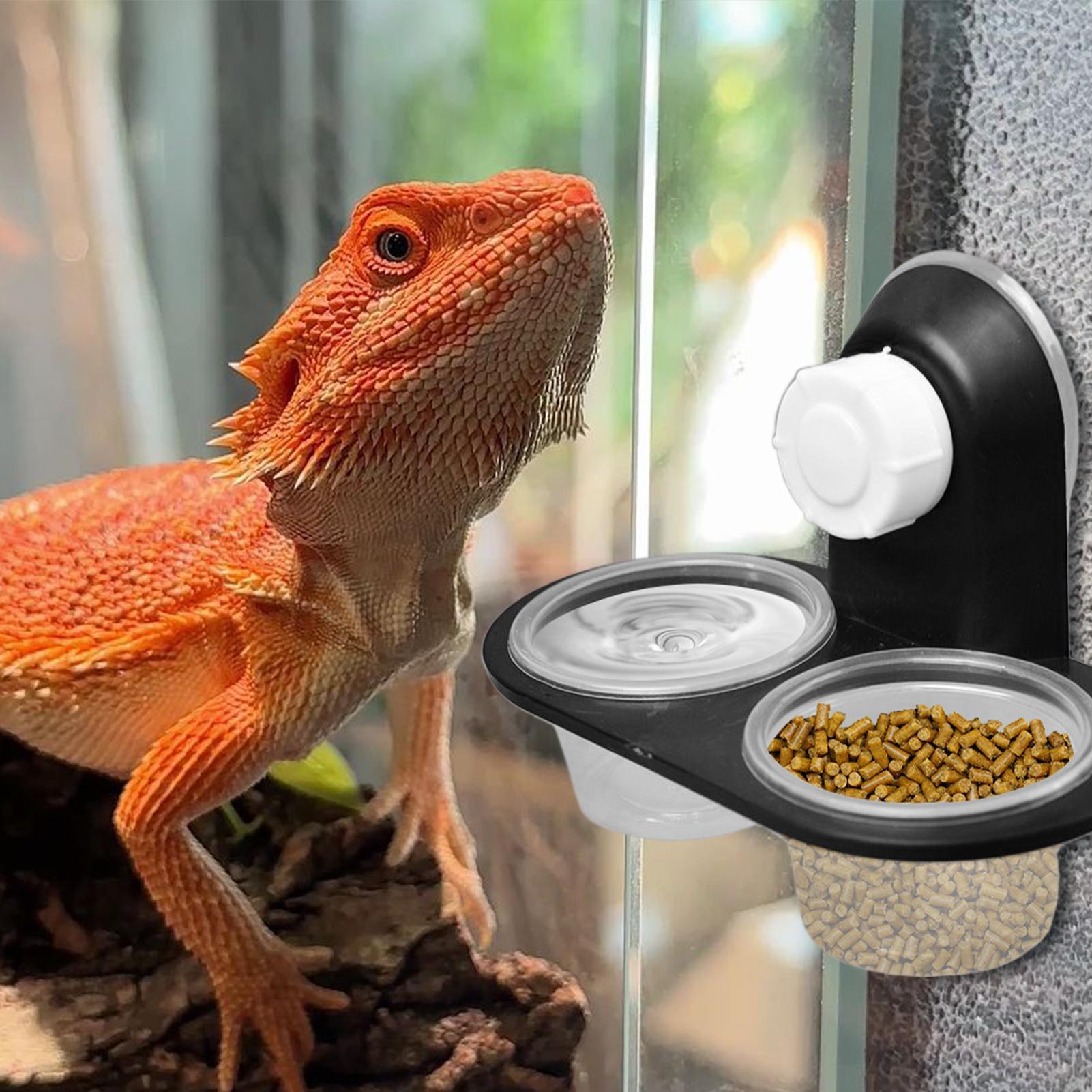 Water Dish Reptile - ถาดใส่อาหารและน้ำสำหรับตุ๊กแก พร้อมถาดวางแก้ว 4 ใบ สำหรับแมงป่อง กบ