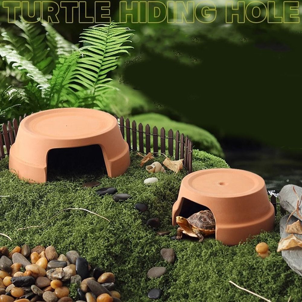 กล่องเซรามิกอเนกประสงค์สำหรับส - Hide Cave Ceramic บทวิจารณ์และราคา