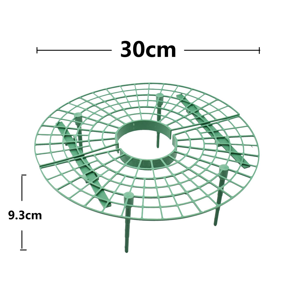 สตรอเบอร์รี่ขาตั้งกรอบระเบียงป - Vine Climbing Plastic บทวิจารณ์และราคา