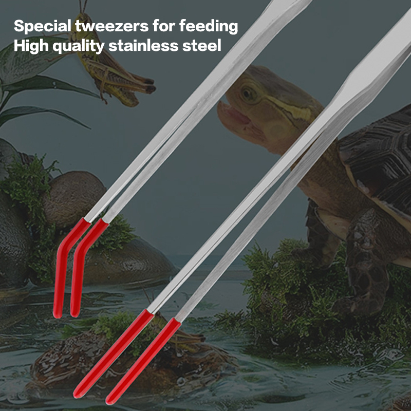อุปกรณ์สำหรับตู้ปลา: แหนบสแตนเ - Feeding Tong Stainless บทวิจารณ์และราคา