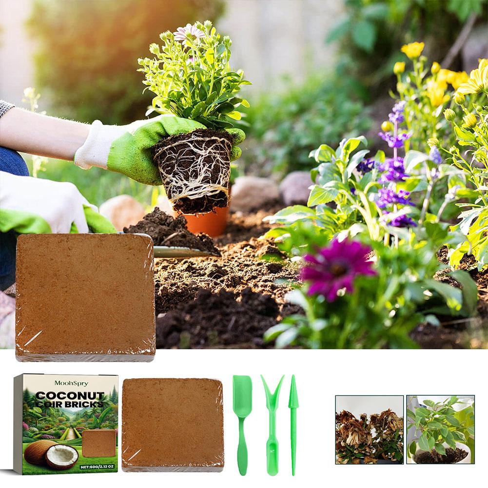 สัตว์เลื้อยคลานดินมะพร้าว Coir - Substrate Coconut Fiber บทวิจารณ์และราคา