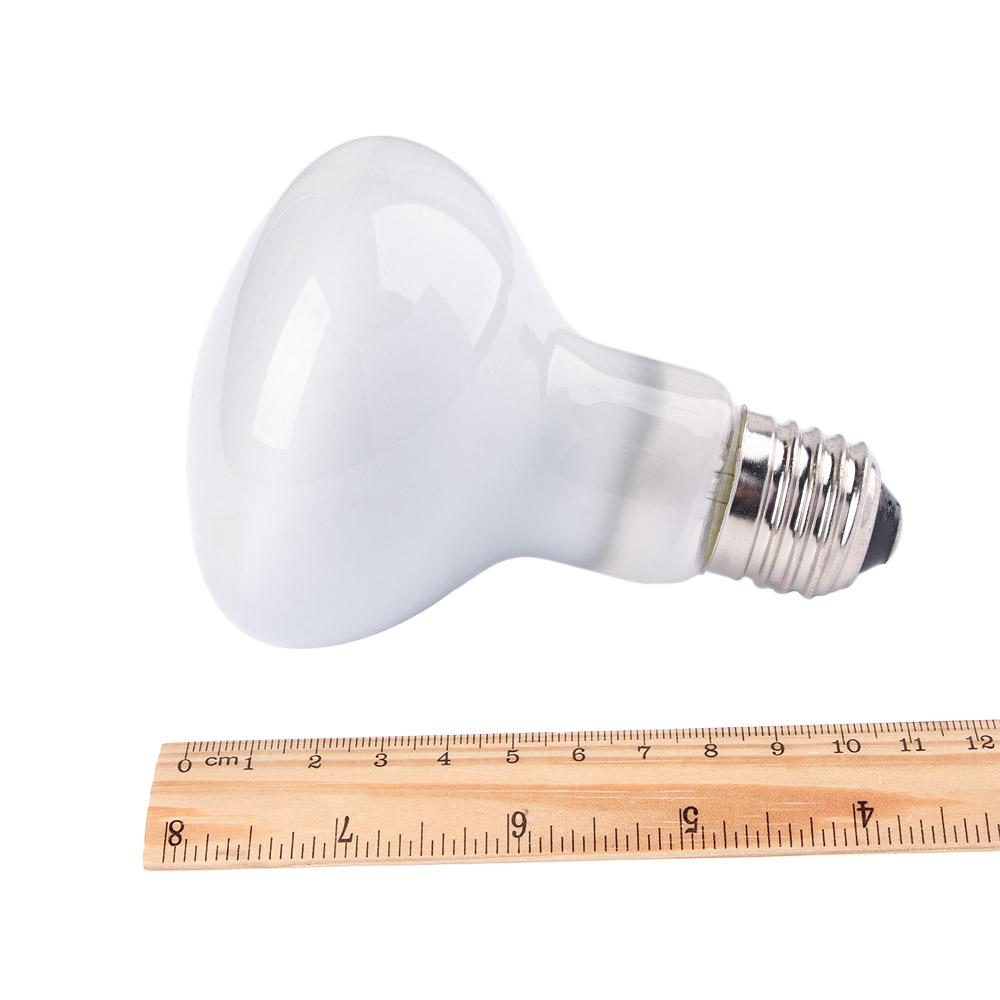 เครื่องควบคุมอุณหภูมิสำหรับสัต - Basking Bulb Halogen บทวิจารณ์และราคา