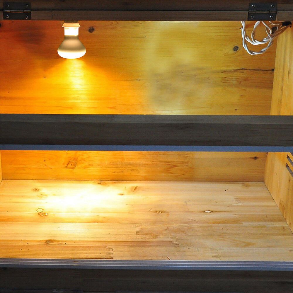 หลอดฮาโลเจนควบคุมอุณหภูมิสำหรั - Basking Bulb Halogen บทวิจารณ์และราคา