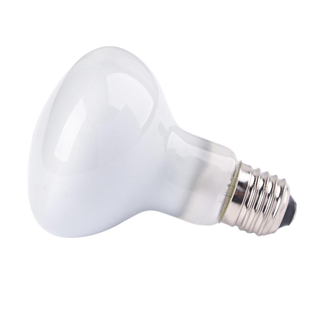หลอดฮาโลเจนสำหรับสัตว์ครึ่งบกค - Basking Bulb Halogen บทวิจารณ์และราคา