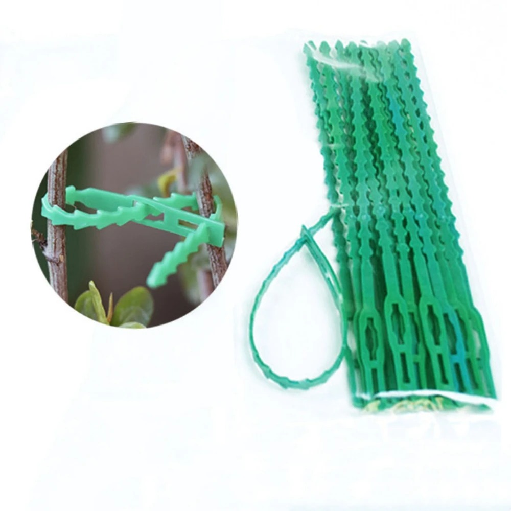 สายรัดพลาสติกปรับได้ 50 ชิ้น ใ - Vine Climbing Plastic บทวิจารณ์และราคา