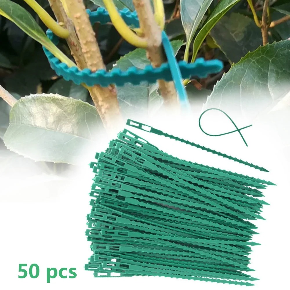 สายรัดพลาสติกปรับได้ 50 ชิ้น ใ - Vine Climbing Plastic บทวิจารณ์และราคา