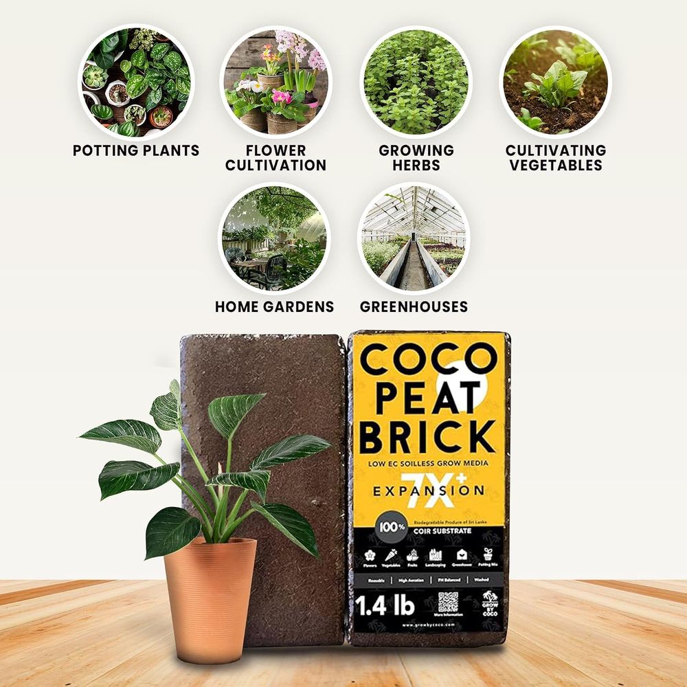 อิฐเพาะปลูก 650 กรัม - อิฐพีทอ - Substrate Coconut Fiber บทวิจารณ์และราคา