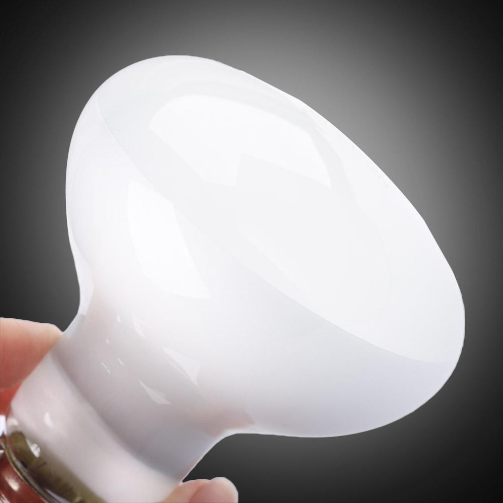 เครื่องควบคุมอุณหภูมิเต่า หลอด - Basking Bulb Halogen บทวิจารณ์และราคา