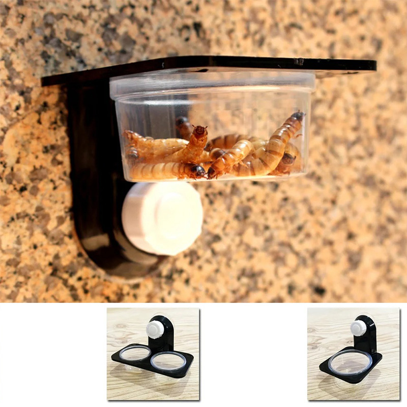 ถังสัตว์เลื้อยคลานอุปกรณ์เสริม - Water Dish Reptile บทวิจารณ์และราคา
