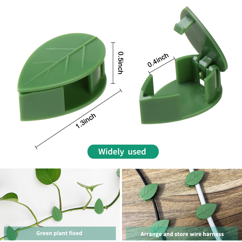พืชที่มองไม่เห็นปีนเขา Wall FI - Vine Climbing Plastic บทวิจารณ์และราคา