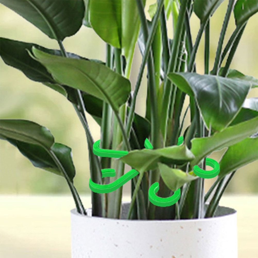 คลิปพลาสติกสำหรับยึดกิ่งพืช 12 - Vine Climbing Plastic บทวิจารณ์และราคา