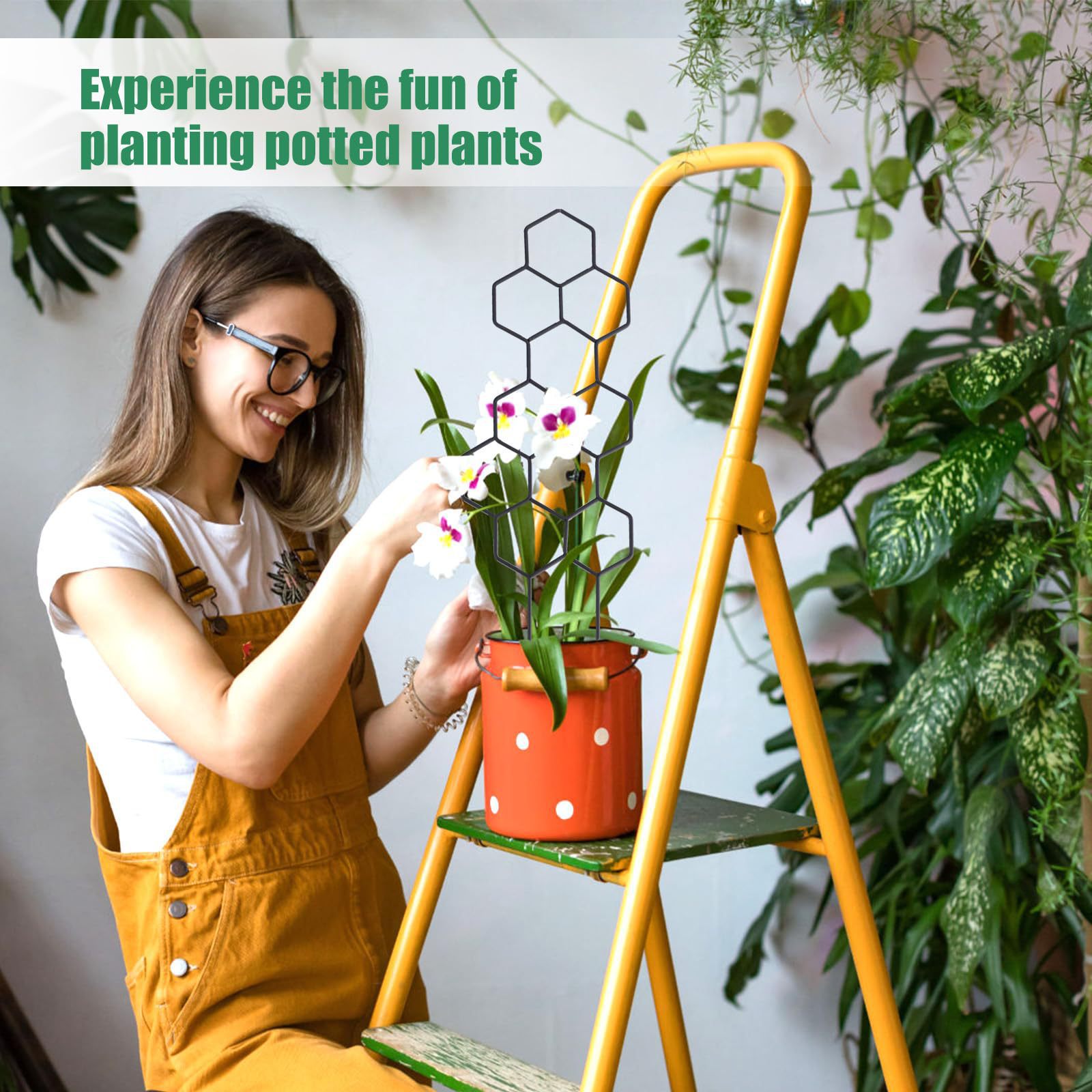 โครงตาข่ายปลูกต้นไม้ลายรังผึ้ง - Vine Climbing Plastic บทวิจารณ์และราคา