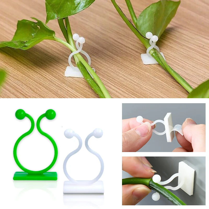 ตะขอเกี่ยวต้นไม้แบบติดผนัง ติด - Vine Climbing Plastic บทวิจารณ์และราคา
