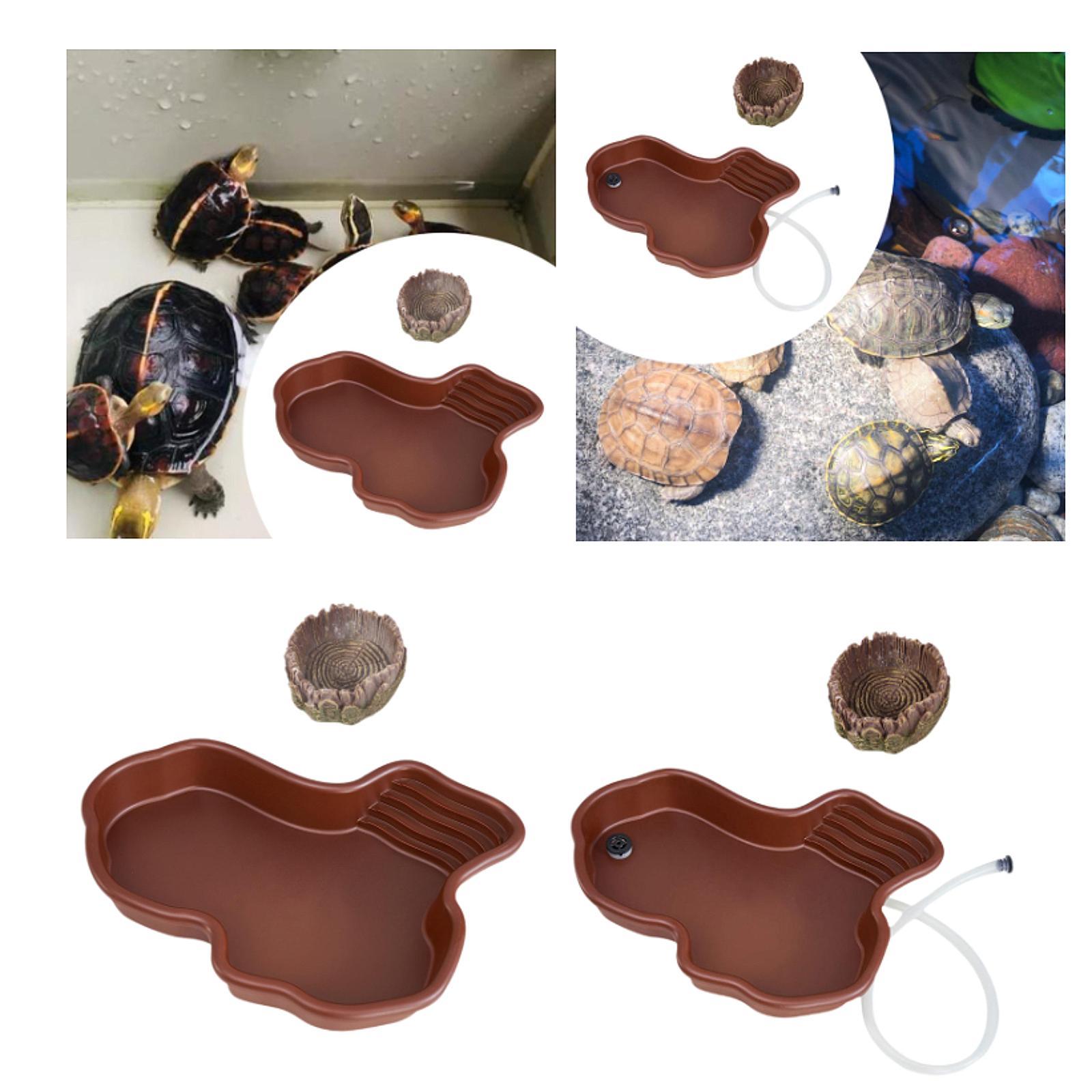 สัตว์เลื้อยคลานให้อาหารจานสัตว - Water Dish Reptile บทวิจารณ์และราคา